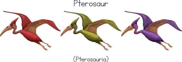 pterosaurio en tres colores vector