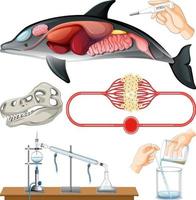 Set of equipment needed for science experiment vector