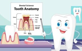 infografía de humanos en ciencia dental anatomía dental vector