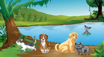 Set of different domestic animals in forest vector