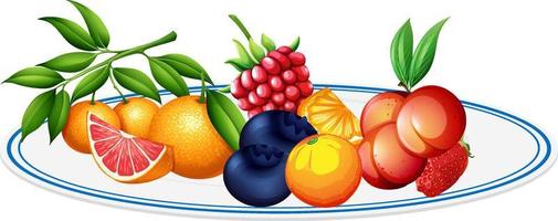 Mixed fruits in a plate on white background vector