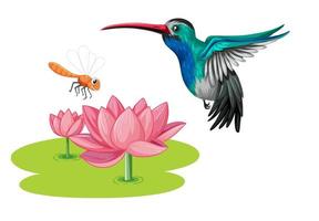 Hummingbird with lotus flower in cartoon style vector