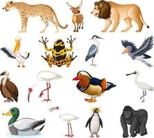 colección de diferentes tipos de animales vector