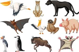 colección de diferentes tipos de animales vector