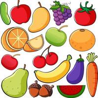 Different kinds of fruits on white background vector