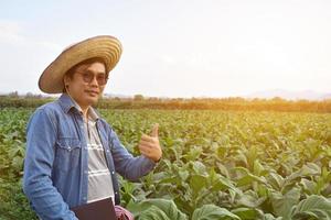 genetista asiático de horticultura está trabajando en una granja de tabaco local para almacenar datos de plantación, desarrollo de cultivares y enfermedades de las plantas por la tarde, enfoque suave y selectivo. foto