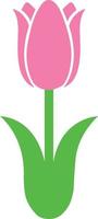 flor de tulipán 5 vector