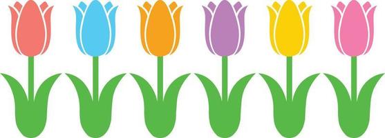 Tulips Flower 1 vector