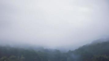 Abstract blurry trees with morning mist in mountain forest nature. photo