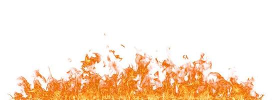 Fire flames isolated on white background. photo
