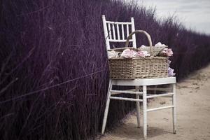 A basket of flowers placed on a chair in a vintage purple style garden. photo