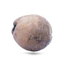 Mature coconut close-up isolated on white background with Clipping Path separate with black shadows. photo