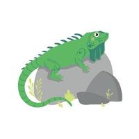 Cute green Iguana with long tail on stones. Zoo cute animal for kids design isolated on white vector