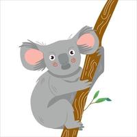 lindo personaje de dibujos animados koala ilustración. impresión vectorial para niños diseño aislado sobre fondo blanco vector