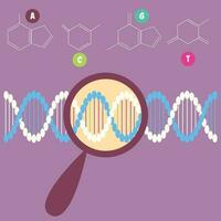 Searching for the DNA sequence vector