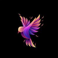 Colorful Bird logo design