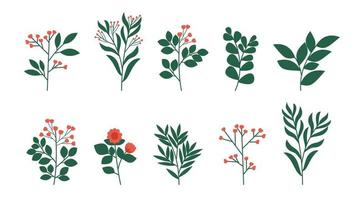 Plantas Ornamentales Vectores, Iconos, Gráficos y Fondos para Descargar Gratis Plantas Ornamentales Vectores, Iconos, Gráficos y Fondos para Descargar Gratis