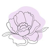 Vector line black illustration graphics flower peony with colors stains