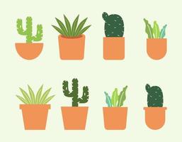 house plant illustration vector