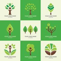 Various Trees Used as The Symbol of Companies vector