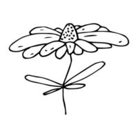 Vector simple flower doodle clipart. Hand drawn floral illustration isolated on white background. For print, web, design, decor, logo.