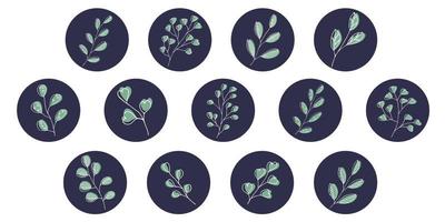 Vector set of icons and emblems for social media story highlight covers. Design templates for bloggers, photographers and designers. Abstract minimal circle backgrounds with nature leaves.