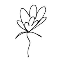 Vector simple flower doodle clipart. Hand drawn floral illustration isolated on white background. For print, web, design, decor, logo.