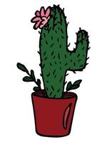 lindo cactus simple dibujado a mano. planta de interior en una maceta clipart. ilustración de cactus aislado sobre fondo blanco. garabato hogareño acogedor. vector