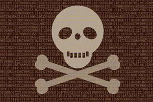 Digital code hacker skull on the computer screen, Hacker background vector