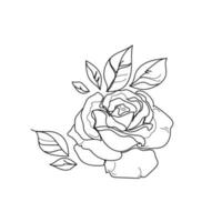 Rose continuous line, outline sketch style vector abstract art.