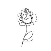 Rose continuous line, flowers garden, outline sketch style vector abstract art.