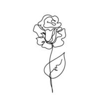 Rose continuous line, flowers garden, outline sketch style vector abstract art.