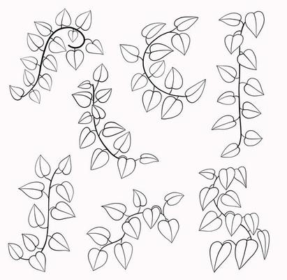 Simplicity ivy freehand drawing flat design collection.