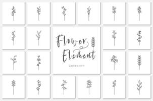 collection flower element lineart illustration. vector