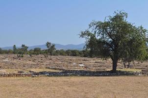 ruinas de olynthus en chalkidiki foto