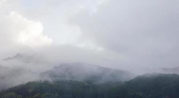 Abstract blurry trees with morning mist in mountain forest nature. photo