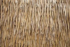 Brown hay roof is stacked on top of each other as a textured background. photo