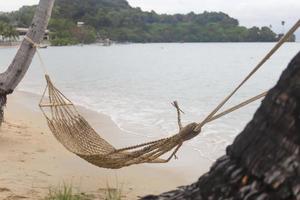 Translate hanging with coconut trees by the sea. photo