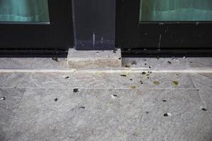 Bird droppings that fall on the tiled floor. photo