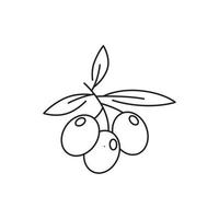 icono de vector de arte de línea de rama de fruta de oliva