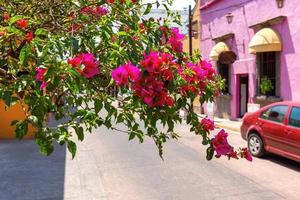 guadalajara, tlaquepaque pintorescas calles coloridas durante la temporada alta de turismo foto