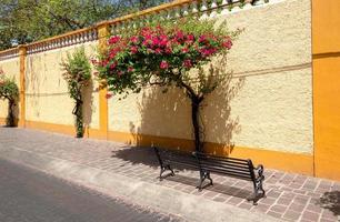 guadalajara, tlaquepaque pintorescas calles coloridas durante la temporada alta de turismo foto