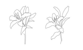 flowers illustration in one line art style. continuous drawing in vector best used for icon, wall art prints, posters, magazine, postcard, etc.