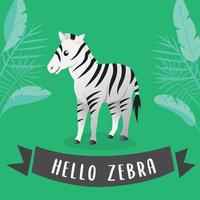 Cartoon cute Zebra. Africa safari Zebra animal vector, Cute Zebra cartoon. Vector illustration of Zebra