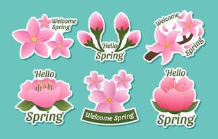 Collection Set of Cherry Blossom Element Sticker vector