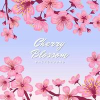 Cherry Blossom Background Concept vector