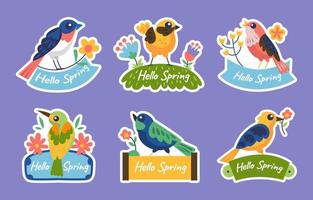 Set of Spring Birds Stickers vector
