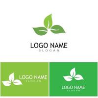 Mint leaves flat vector color icon template illustration design