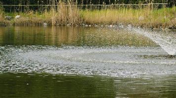 het groene meerwater in park video