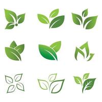 Mint leaves flat vector color icon template illustration design